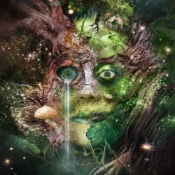Bog Witch Cover